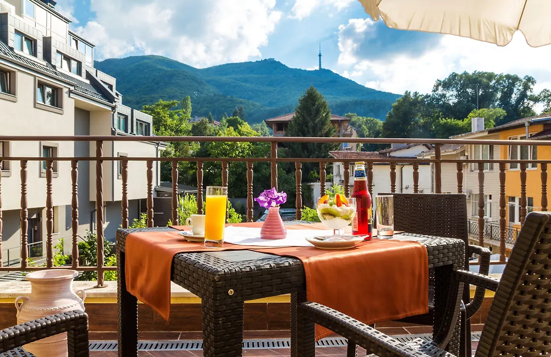 Hotel Villa Boyana - Free Parking-1