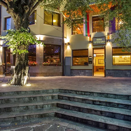 Hotel Villa Boyana - Free Parking-2
